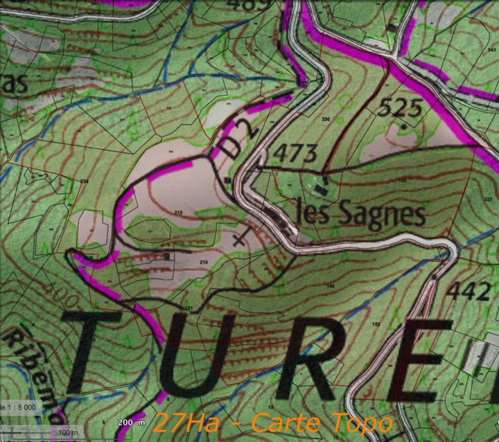 Les Sagnes - Carte topographique