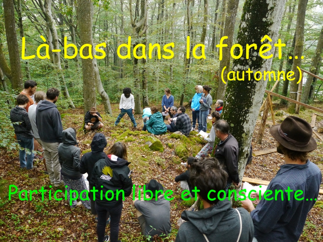 Là-bas dans la forêt – Automne